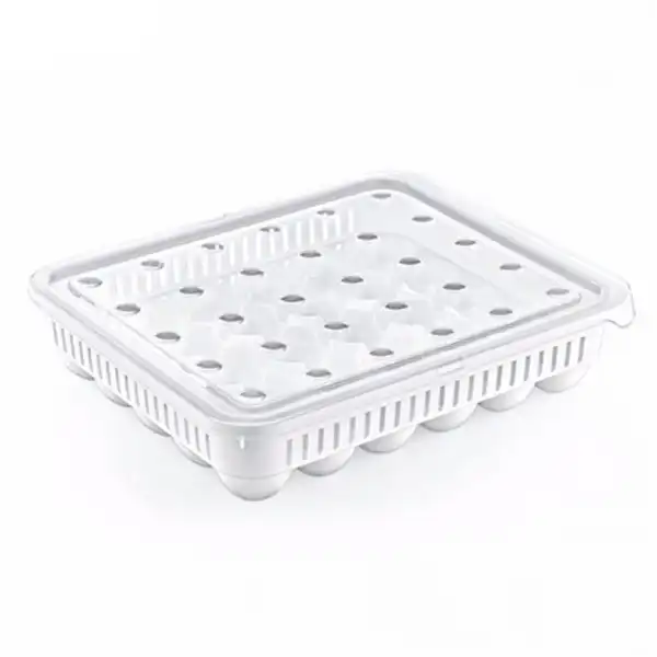 ظرف نگهدارنده تخم مرغ هوبی لایف مدل 1053