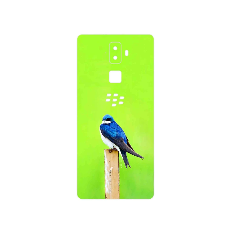 برچسب پوششی ماهوت مدل Bird Swallow مناسب برای گوشی موبایل بلک بری Evolve