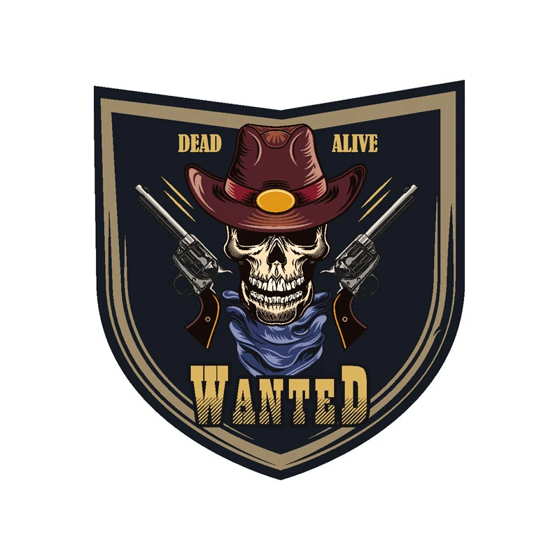 برچسب بدنه خودرو رایسان طرح اسکلت کد st048