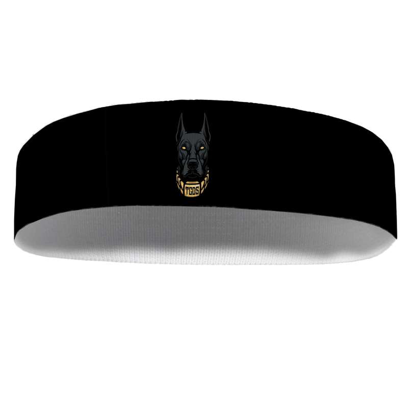 هدبند ورزشی آی تمر مدل dog کد 150