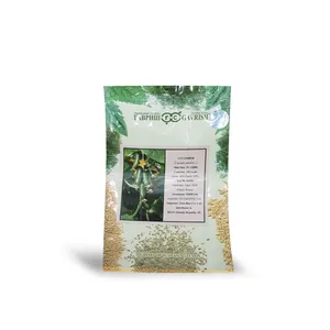 بذر خیار گلخانه ای پرگل مدل مینی استار