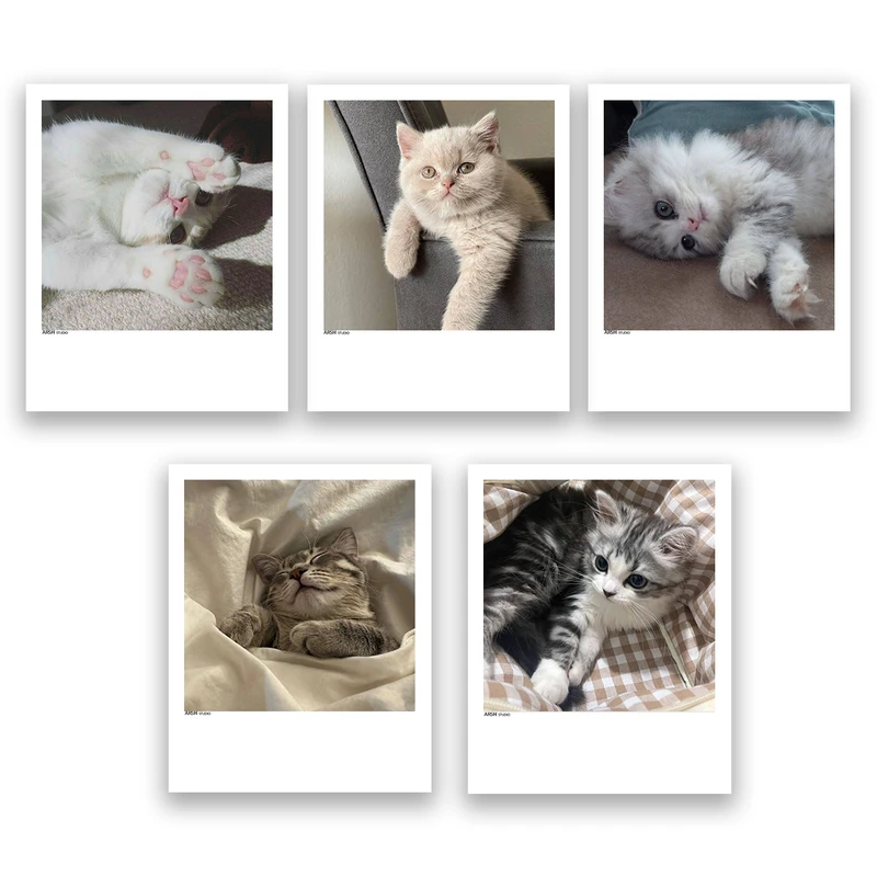 آویز تزیینی عرش مدل فانتزی گربه بامزه کد Asa315 مجموعه پنچ عددی