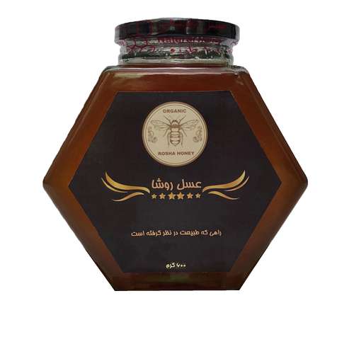 عسل طبیعی کنار روشا - 600 گرم
