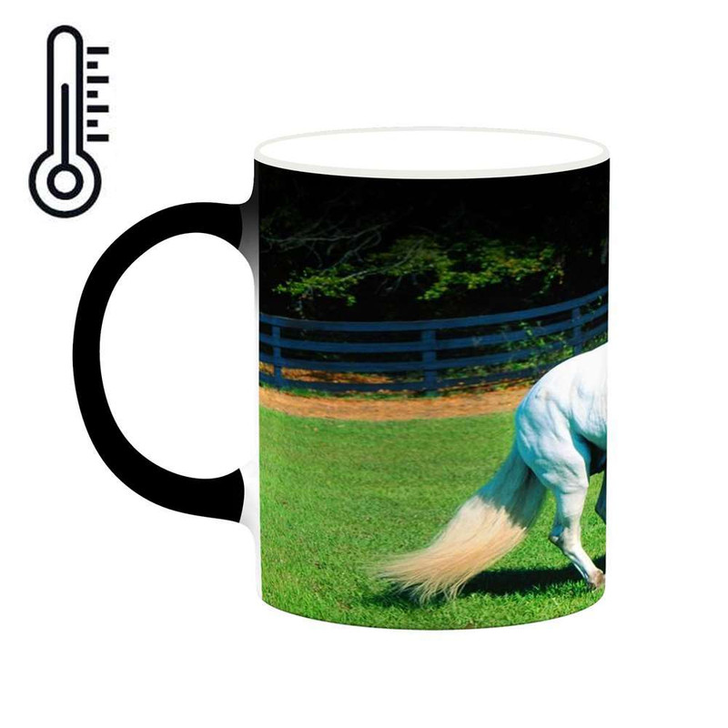 ماگ حرارتی کاکتی مدل اسب کد mgh24164