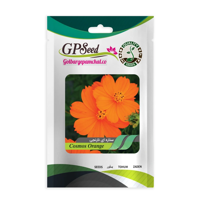 بذر گل ستاره ای نارنجی گلبرگ پامچال کد GPF-252