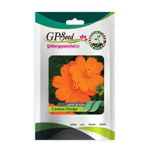 بذر گل ستاره ای نارنجی جی پی سید مدل GP871