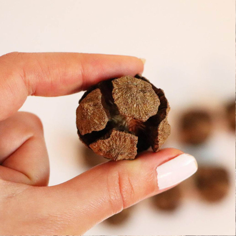 میوه تزیینی مدل کاج بسته 36 عددی