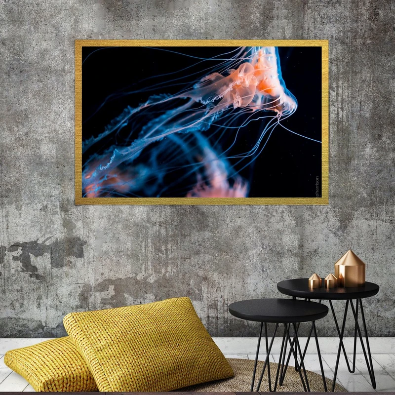 تابلو بکلیت طرح عروس دریایی مدل قاب شاسی T-S7736