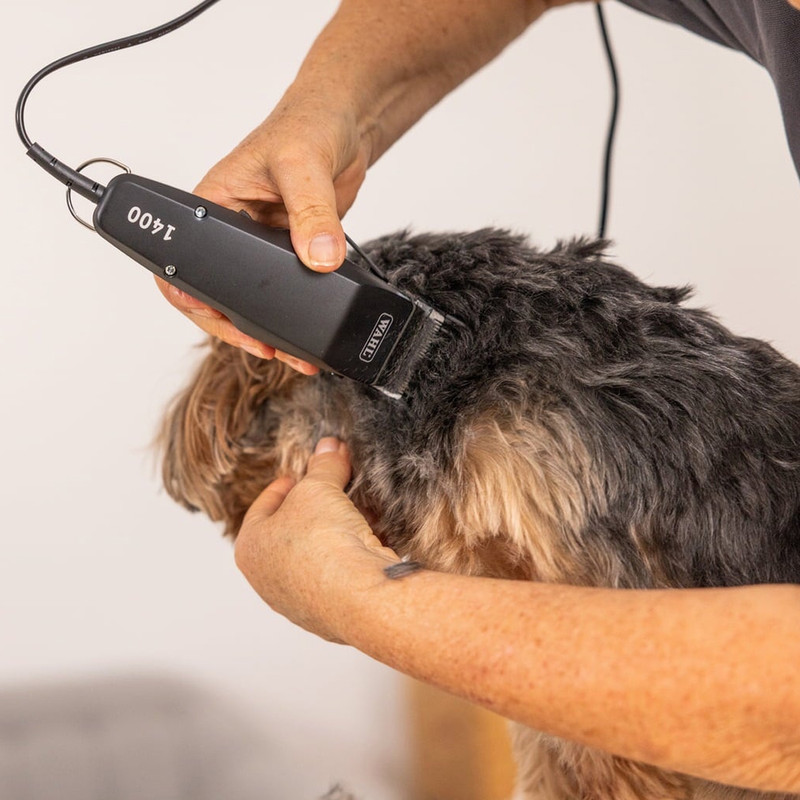 ماشین اصلاح وال مدل 1400 Corded Clipper مناسب اصلاح سگ‌های کوچک