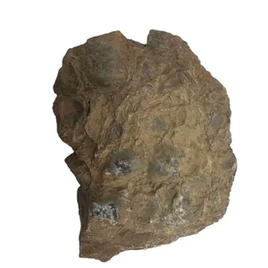 سنگ راف مدل shell05