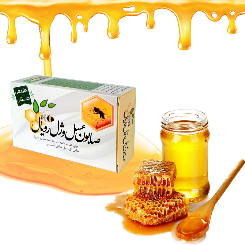 صابون شستشو ارمغان سلامت مدل عسل و ژل رویال وزن 85 گرم صابون شستشو ارمغان سلامت مدل عسل و ژل رویال وزن 85 گرم