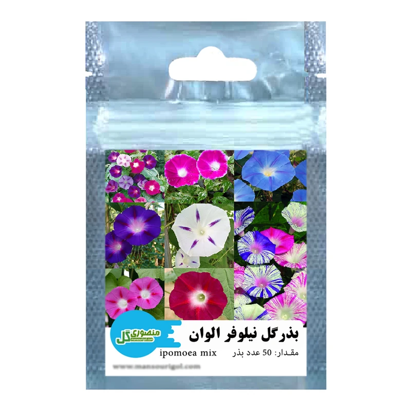 بذر گل نیلوفر رونده الوان منصوری گل کد Mi50 وزن 6 گرم