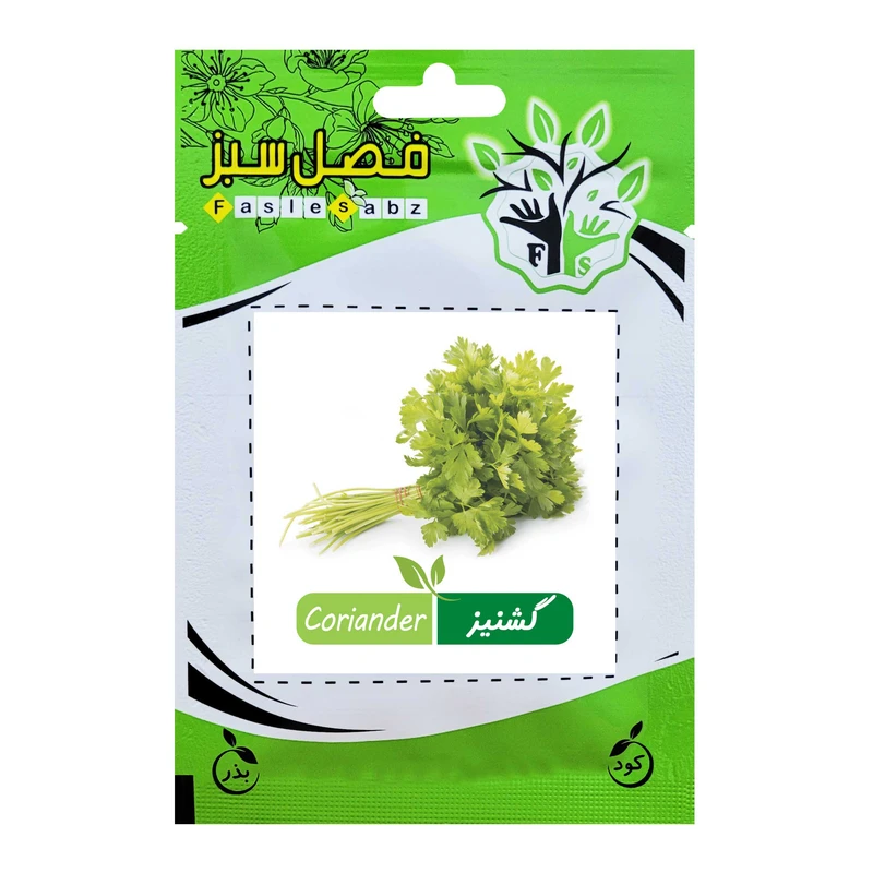 بذر گشنیز فصل سبز کد SEED-008