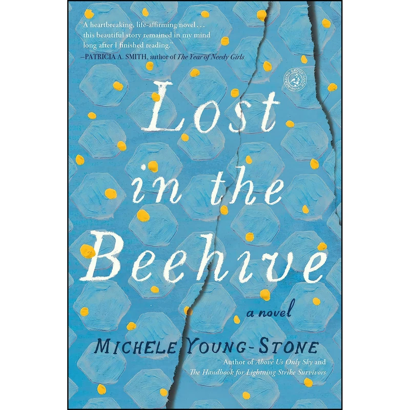 کتاب Lost in the Beehive اثر Michele Young-Stone انتشارات Simon & Schuster