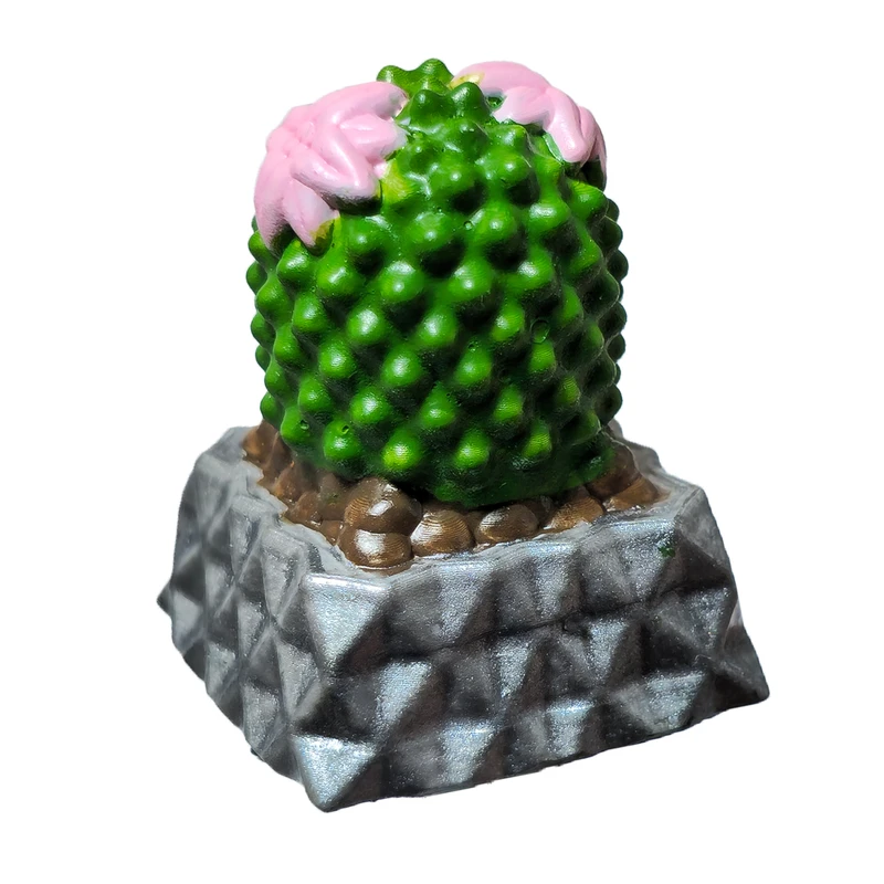 دکمه کیبورد مدل کاکتوس اسکوباریا ویوی‌پارا