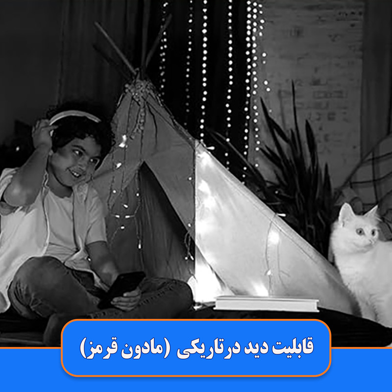 دوربین مداربسته تحت شبکه ریولینک مدل E1 Pro