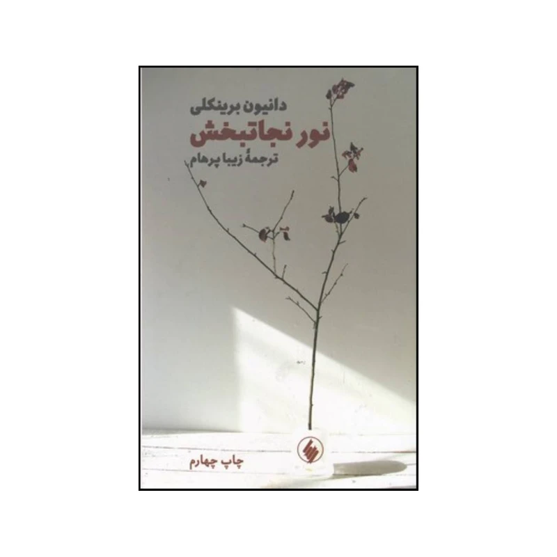 کتاب نور نجاتبخش داستان واقعی مردی که دوبار می میرد و مشاهداتش را در دنیای دیگر شرح می دهد اثر دانیون برینکلی و پل پری انتشارات فرزان روز