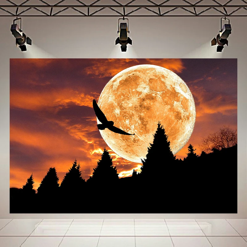  پوستر طرح مخمل غروب مدل ماه کد AR302553