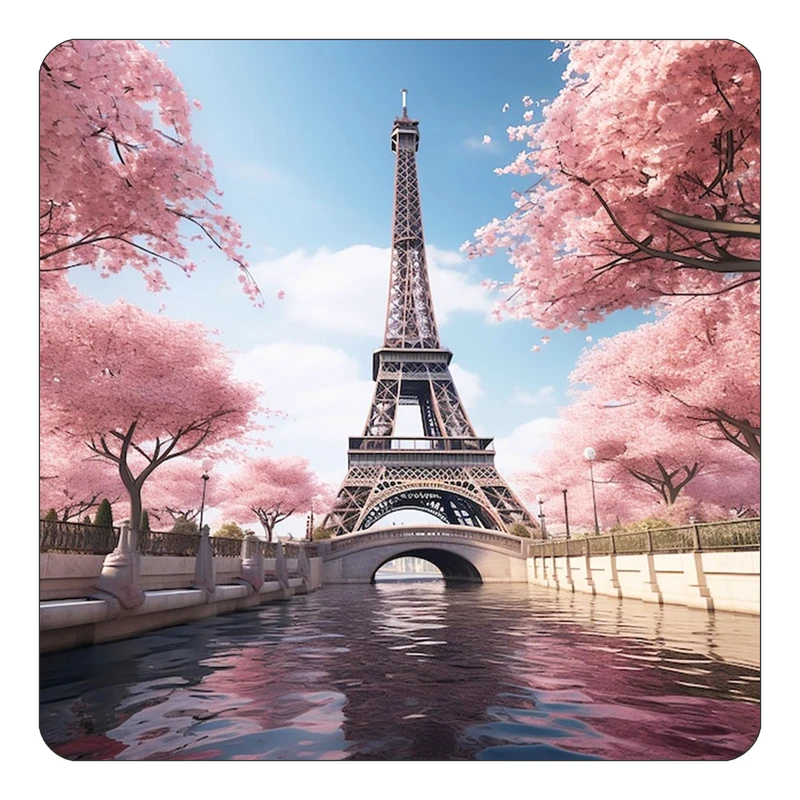 مگنت کاکتی طرح پاریس Paris مدل mp57412