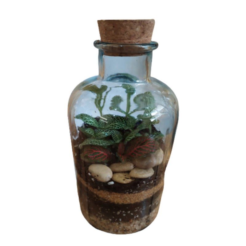 تراریوم گیاه طبیعی کد 104