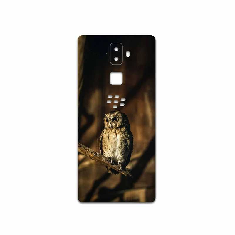 برچسب پوششی ماهوت مدل Owl مناسب برای گوشی موبایل بلک بری Evolve