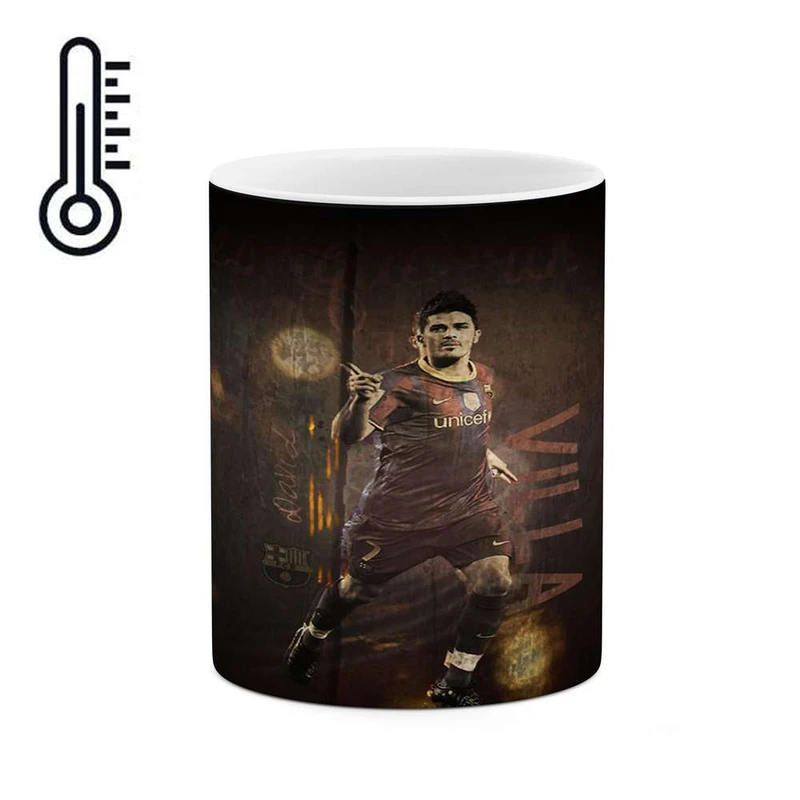 ماگ حرارتی کاکتی مدل داوید ویا کد  mgh12313