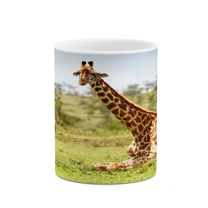 ماگ کاکتی مدل زرافه کد mgh16106