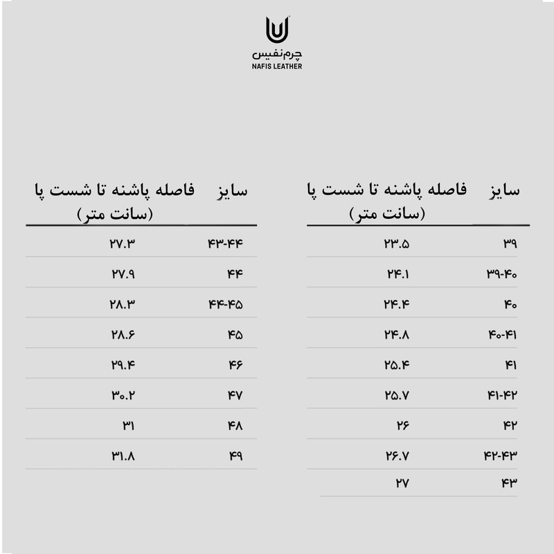 کفش زنانه چرم نفیس مدل 42000213
