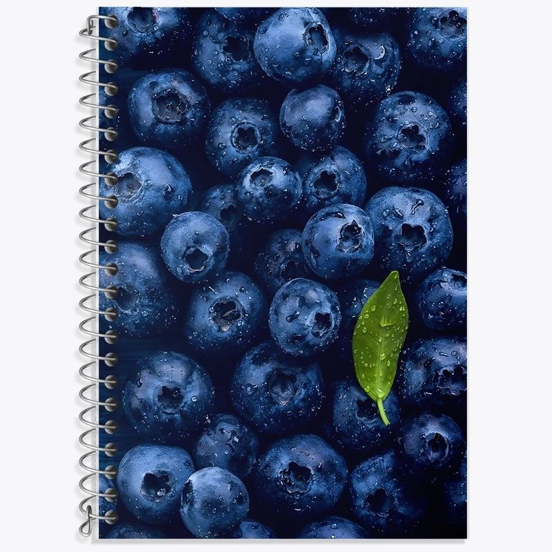 دفتر زبان 50 برگ خندالو مدل سه خط طرح بلوبری کد F1386