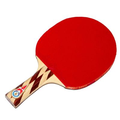 نقد و بررسی راکت پینگ پنگ گلد کاپ مدل 5ستاره توسط خریداران