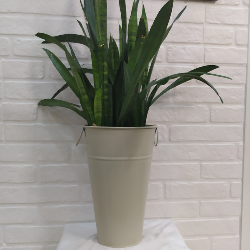 گلدان مدل تورینگ بلوم 40 گلدان مدل تورینگ بلوم 40