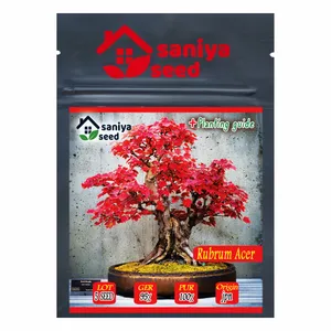 بذر بنسای افرا روبروم قرمز سانیا سید مدل S35