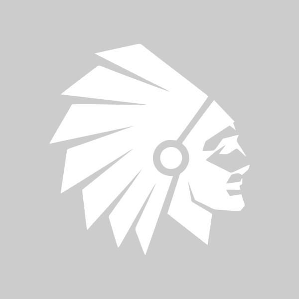 برچسب بدنه خودرو آداک طرح سرخ پوست1 کد Redskins01