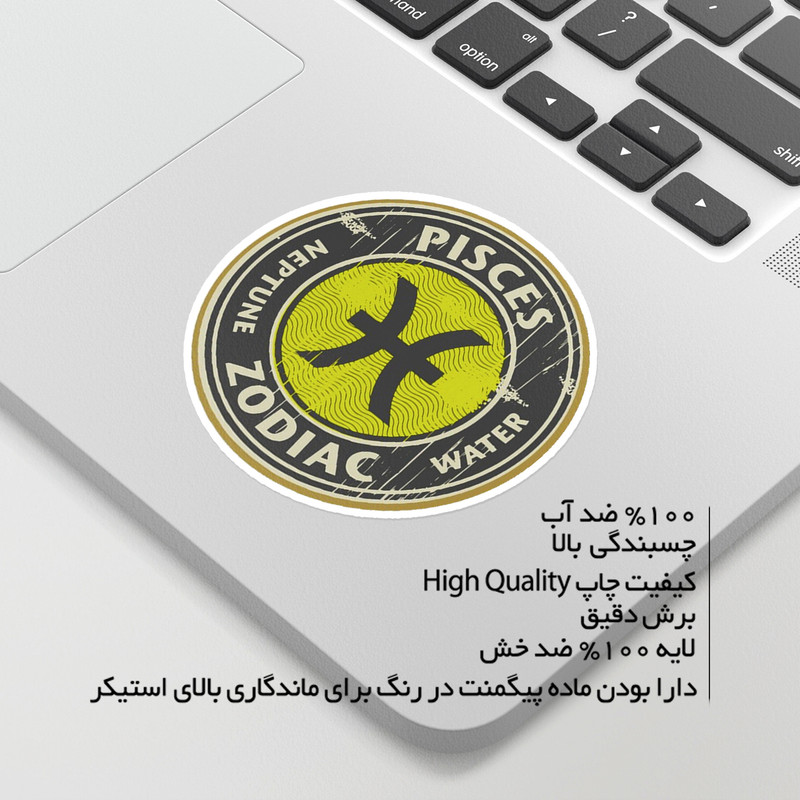 استیکر لپ تاپ ماسا دیزاین طرح ماه تولد اسفند مدل ZODI
