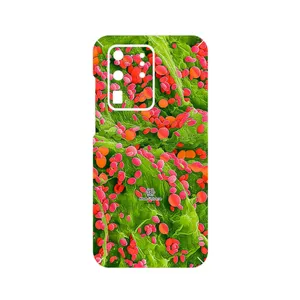 MAHOOT Atom Universe 3 Cover Sticker for Samsung Galaxy S20 Ultra