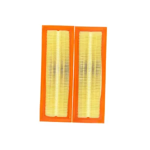 فیلتر هوا خودرو مدل FPG2 مناسب برای پژو 405، پژو پارس و سمند بسته 2 عددی