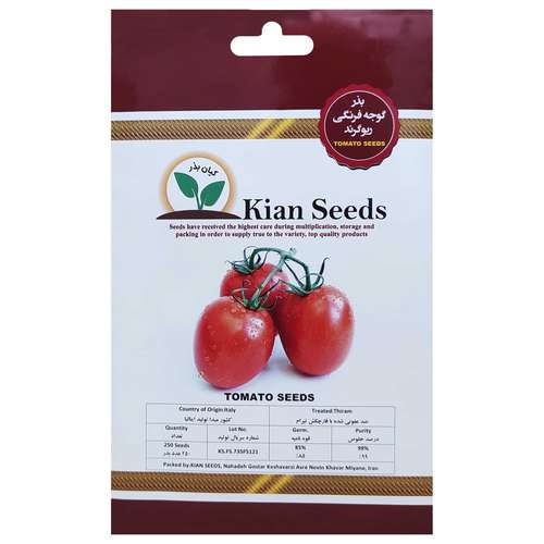  بذر گوجه فرنگی ریو گرند کیان بذر کد KBZ-25