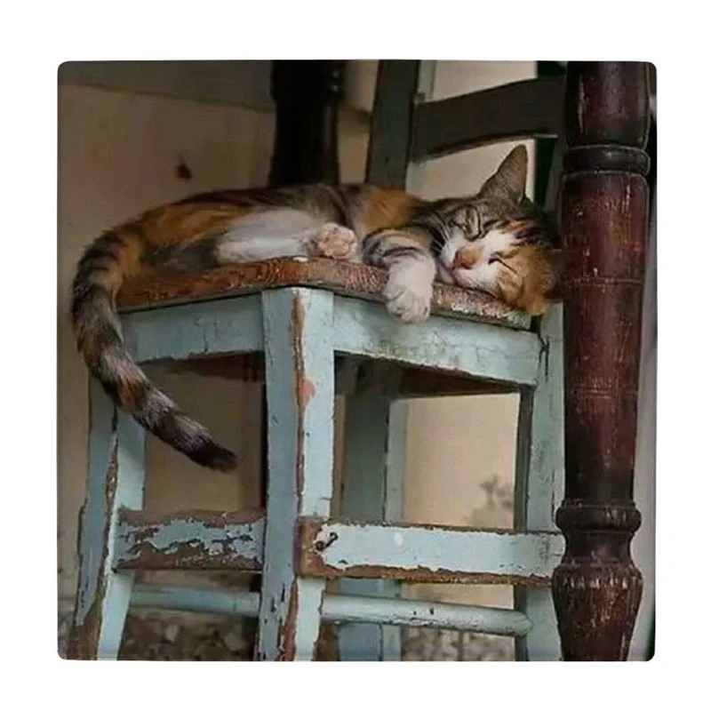 زیر لیوانی طرح گربه لمیده روی چارپایه کد    4074905_2813