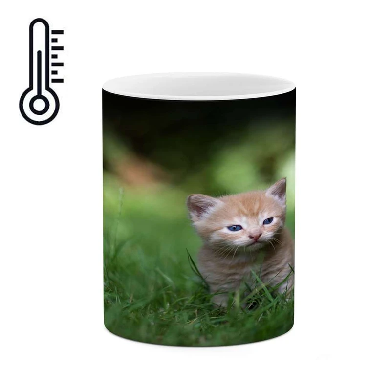 ماگ حرارتی کاکتی مدل گربه کد mgh15571