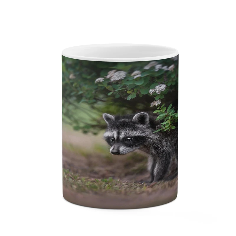 ماگ کاکتی مدل سمور کد mgh17275