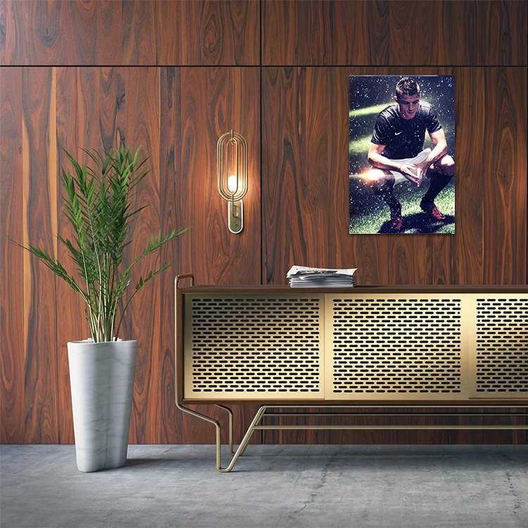 تابلو شاسی مدل رونالدو کد 375