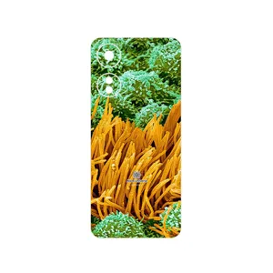 MAHOOT Atom Universe 6 Cover Sticker for Honor X5 Plus