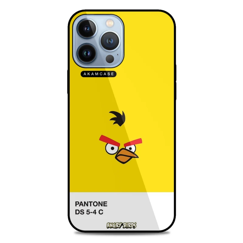 کاور آکام مدل AMC-WA13PROMAX-ANGRY BIRDS14 مناسب برای گوشی موبایل اپل iPhone 13 Pro Max
