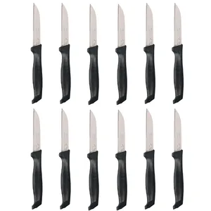 چاقو میوه خوری  کد 01 بسته 12 عددی