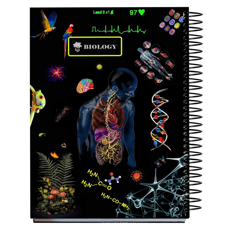 دفتر مشق 150 برگ تیما مدل علوم مجموعه 4 عددی