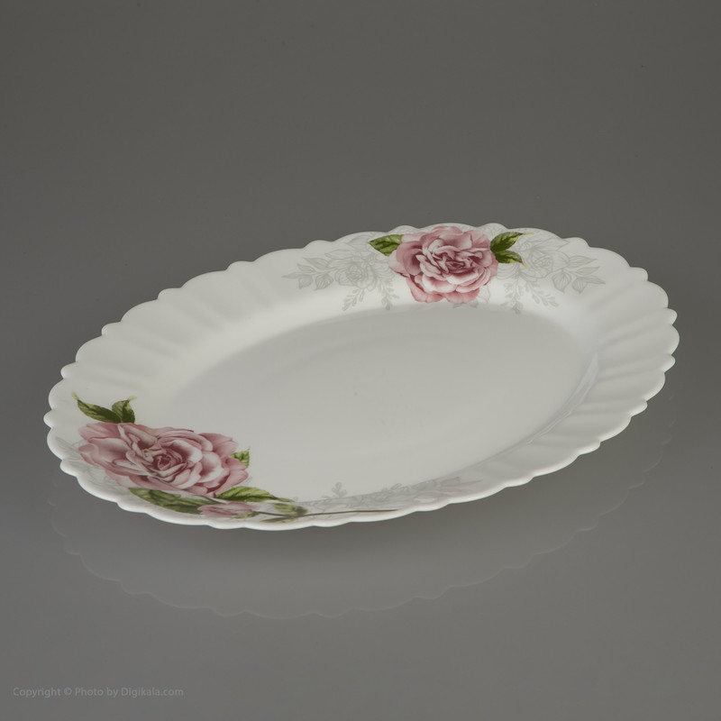 سرویس غذا خوری 25 پارچه آیروپال طرح کنگره مدل مهکامه