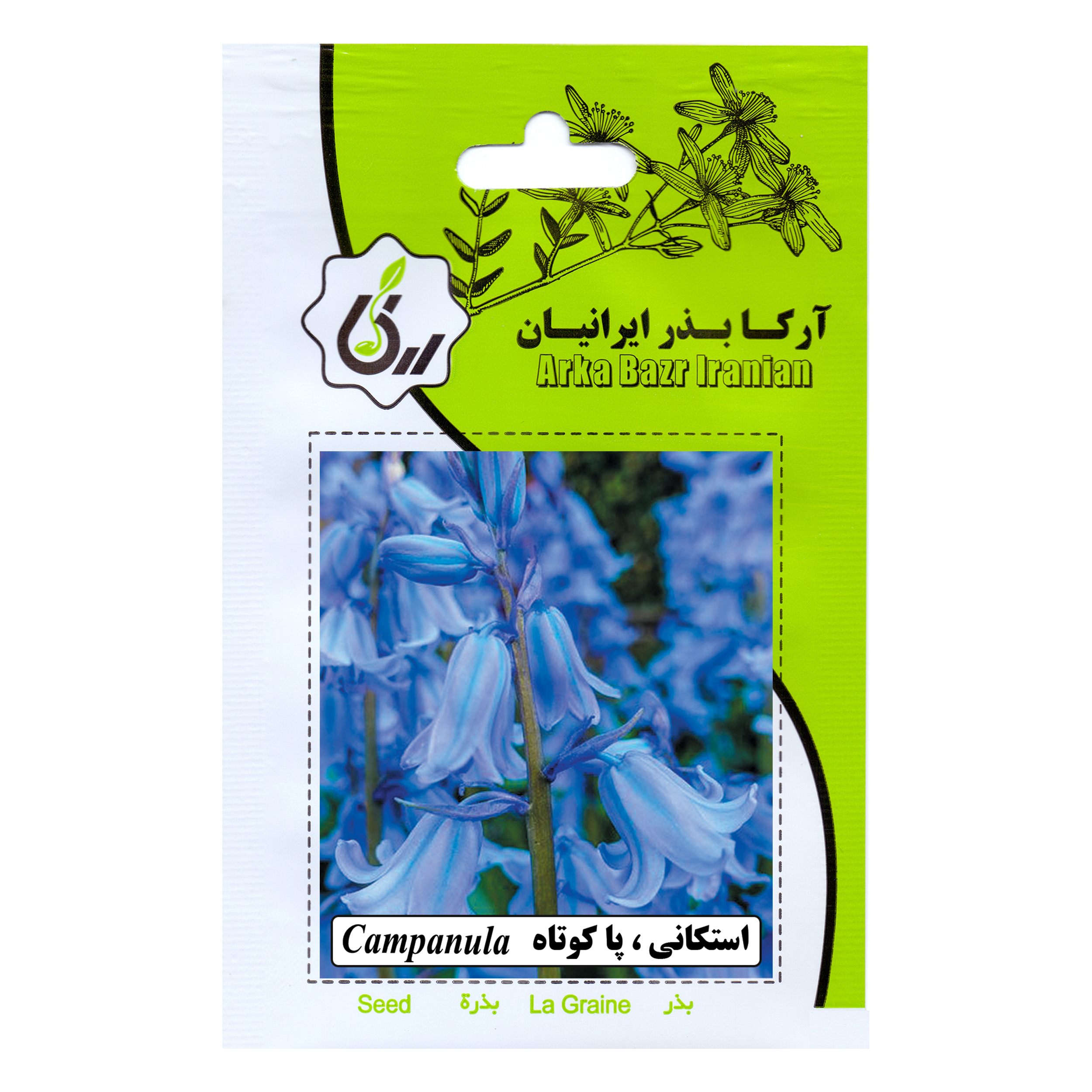 بذر گل استکانی پاکوتاه آرکا بذر ایرانیان کد 67-ARK