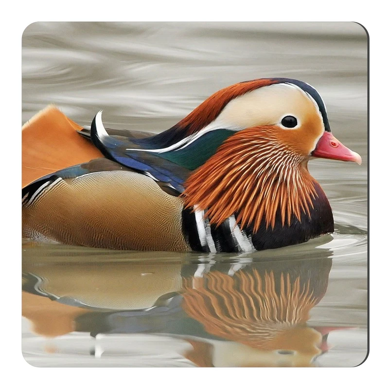  مگنت طرح اردک ماندارین کد NIM625 