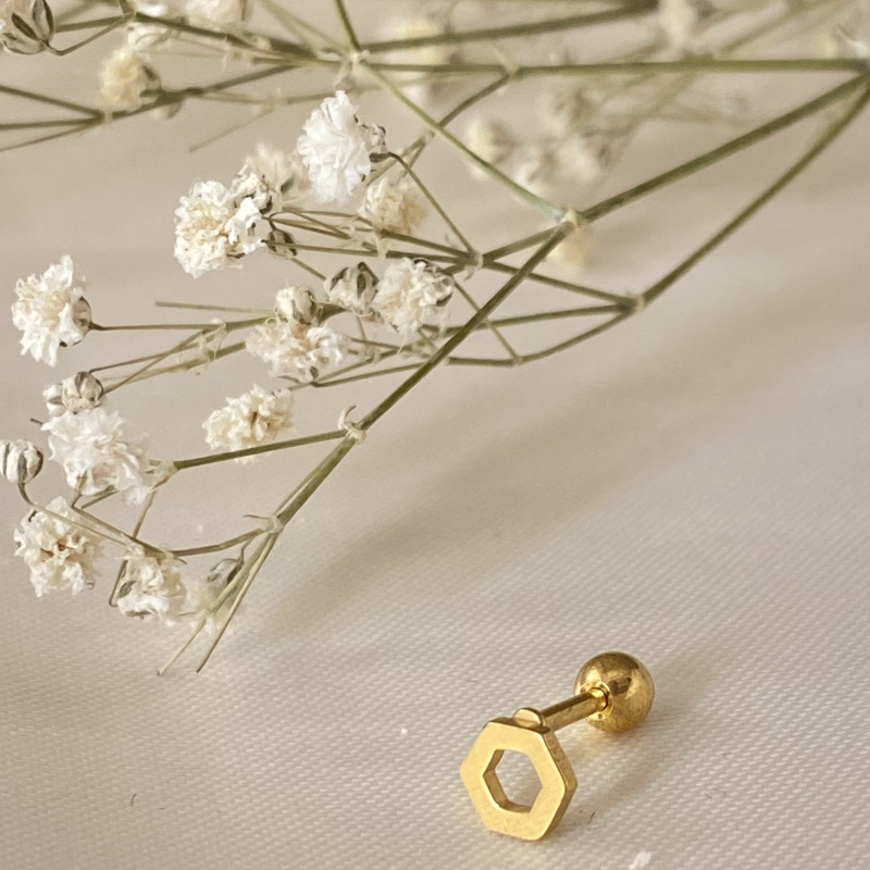 پیرسینگ گوش مدل شش ضلعی کد S پیرسینگ گوش مدل شش ضلعی کد S