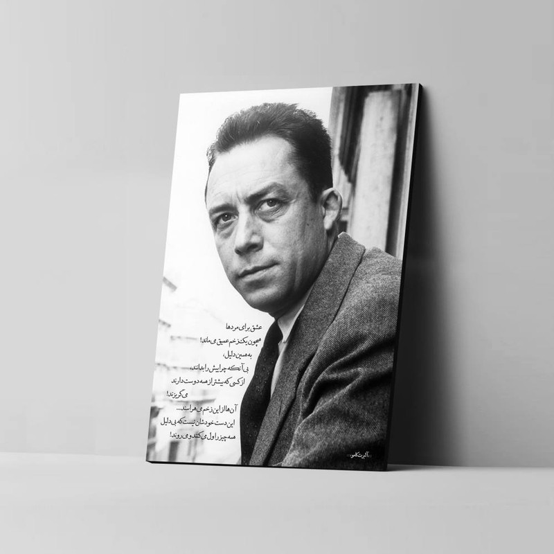 تابلو شاسی مدل آلبر کامو کد 4G350